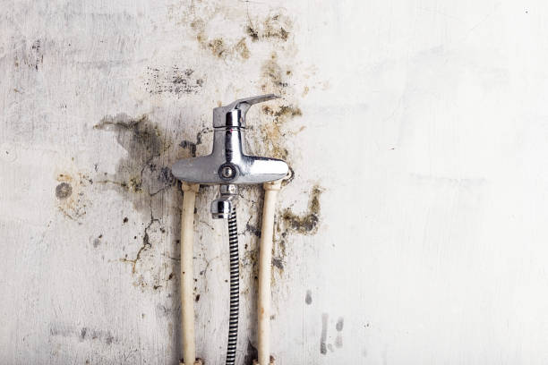 Best Water Damage Restoration  in Platte, SD
