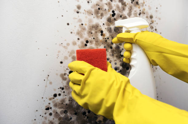 Water Damage Restoration in Platte, SD